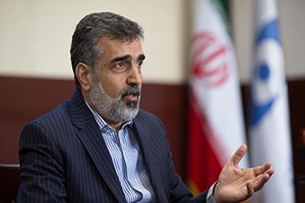 کمالوندی: ایران گزینه‌های زیادی برای دفاع از خود دارد