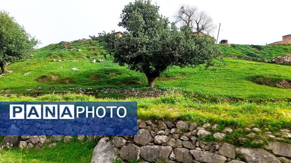 هنر در طبیعت نهفته است