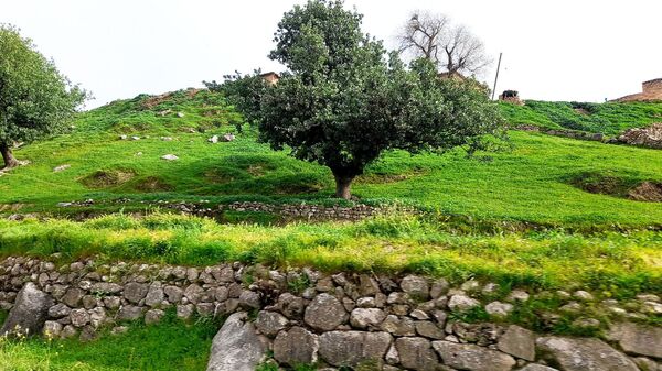 هنر در طبیعت نهفته است