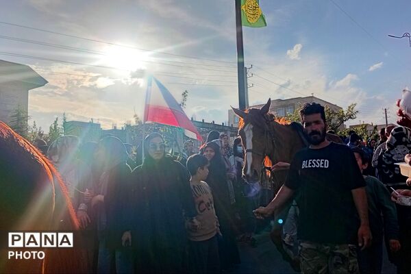 جشن بزرگ ولادت امام رضا علیه السلام در پردیس
