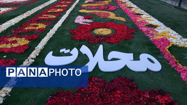 هشتمین فرش سرگل قاره کهن؛ جلوه‌گاه هنر و اصالت در محلات