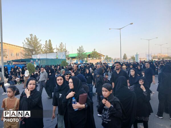 قدم هایی در راه سیدالشهدا