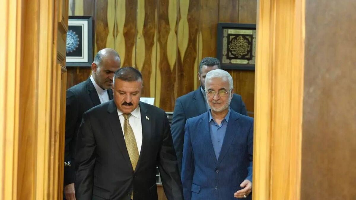 وزیر کشور عراق وارد تهران شد