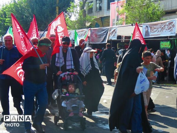 نبض دلتنگی در مسیر عاشقی