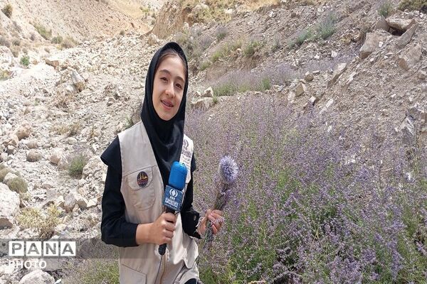 ارتفاعات شهر بار ذخیره‌گاه گیاهان دارویی کمیاب-۱