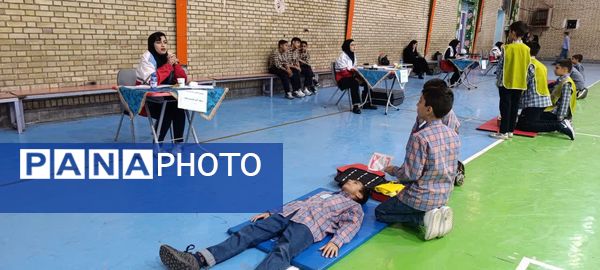 جشنواره مهارت علمی سفیران سلامت