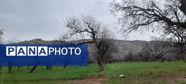 هنر در طبیعت نهفته است