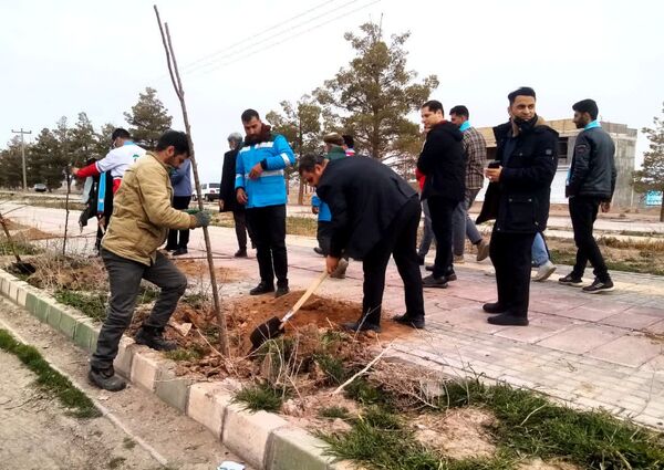 روز درختکاری در تربت جام