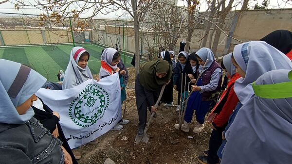 درختکاری در دبستان شهید ذکاوتی مایوان