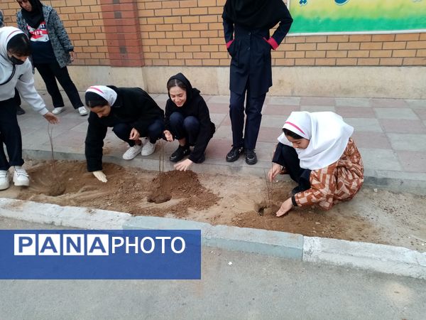 زینت بخشی مدارس شهرستان قدس با کاشت نهال های جوان