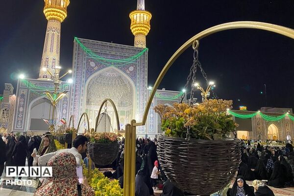 سفر به دیار مهربانی