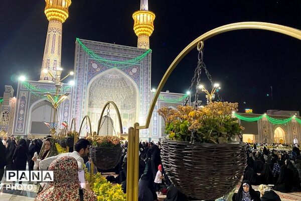 سفر به دیار مهربانی