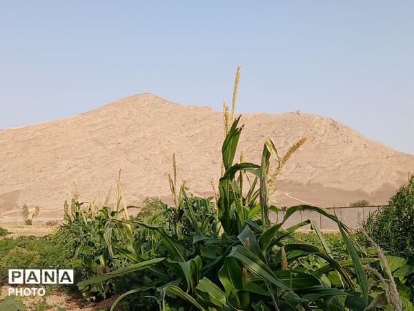 وقتی طبیعت، حرف می‌زند