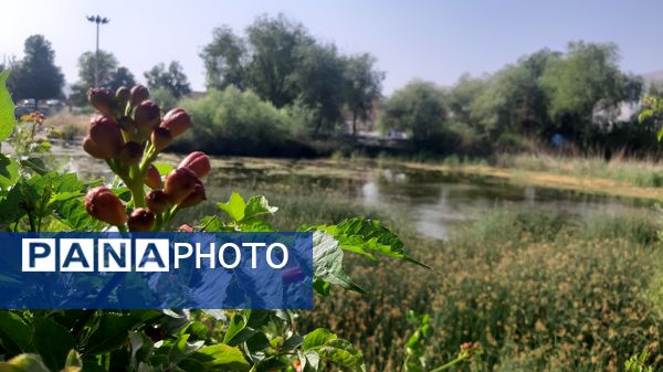 چشه برم، چشم‌انداز زیبایی‌ها در دل شهرستان لردگان