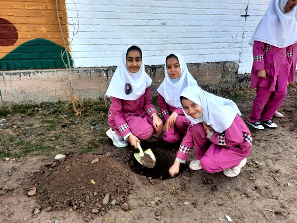 مراسم کاشت نهال در دبستان سید قطب رادکان 