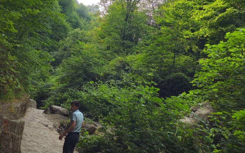 جلوه‌های سحرانگیز طبیعت بکر و مناظر جنگلی شمال ایران