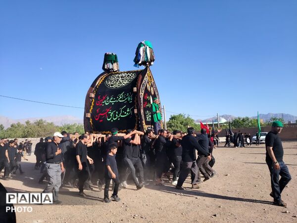 نخل‌برداری روز عاشورا در روستای صالح آباد شهرستان تفت