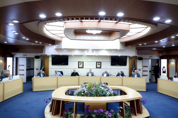  منابع نظام سلامت باید بر اساس خرید راهبردی و پرداخت عملکردی توزیع شود