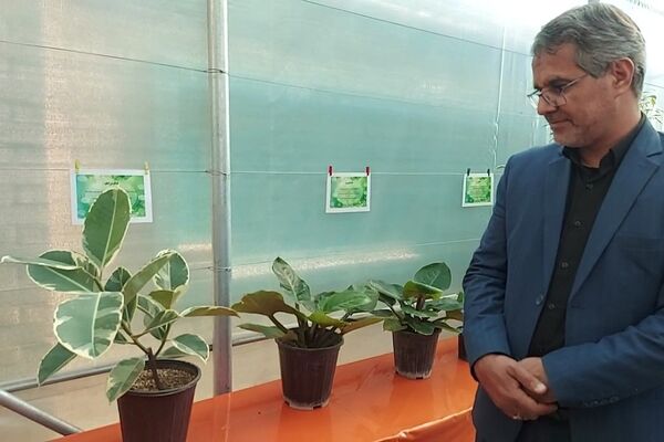 افتتاح گلخانه «باغ سلیمی» در دبستان شهید سلیمی جهرمی کهریزک 
