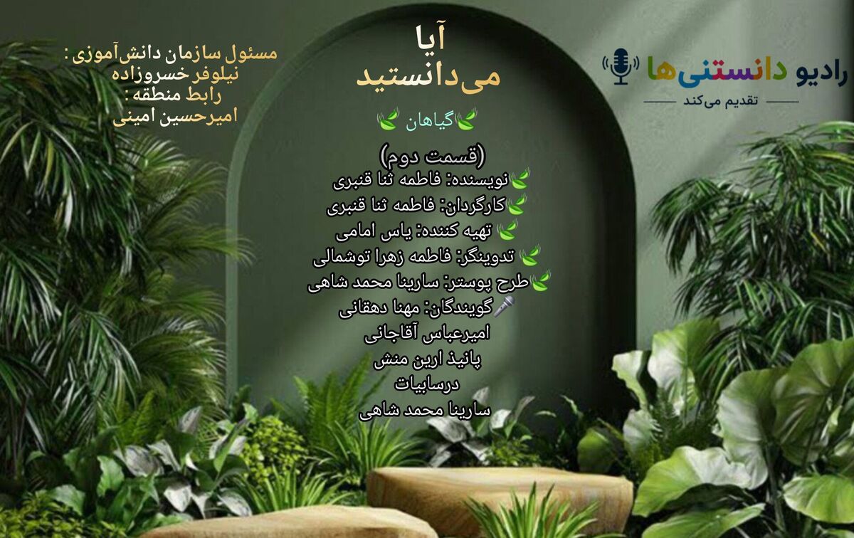 شگفتی های پنهان در دنیای گیاهان