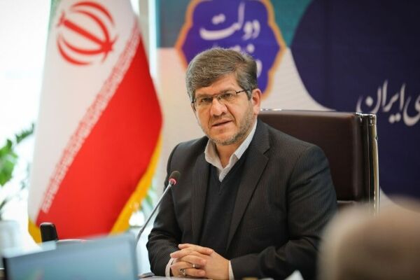 ذاکری: راه‌آهن با حداکثر ظرفیت در خدمت جابه‌جایی زائران مراسم تشییع رهبر شهید انقلاب قرار می‌گیرد