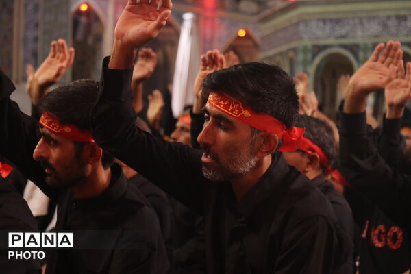 طنین نوای عزاداران هرمزگانی در حسینیه حرم