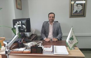 «موج آرامش» رادیو سلامت؛ نوایی برای همدلی و پایداری 