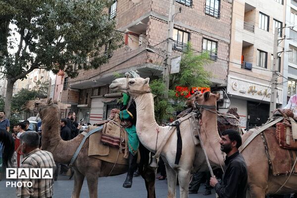 ایمان، دوباره راه را نشان می‌دهد؛ اربعینِ صباشهر، خانه زائرانِ دلتنگ