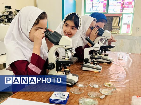 بازدید دانش‌آموزان حضرت معصومه(س) شاهد از پژوهش‌سرای رازی