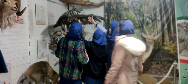 بازدید دانش‌آموزان مدرسه شهید خاقانی از موزه حیات وحش شیروان