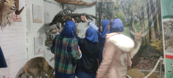 بازدید دانش‌آموزان مدرسه شهید خاقانی از موزه حیات وحش شیروان