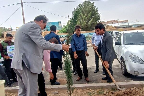 مسئولین اداره آموزش و پرورش کاشمر دو نهال بر زمین نهادند