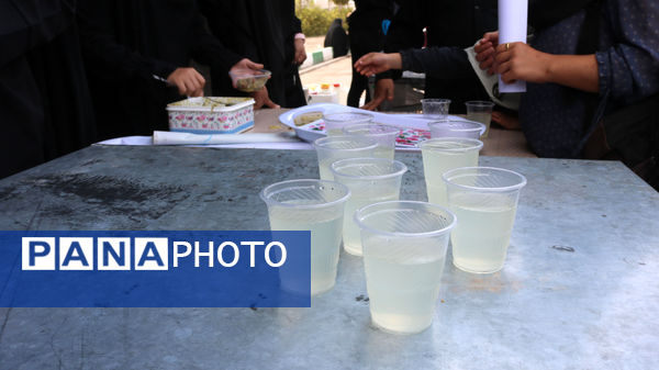 جلوه‌های خدمت‌رسانی به عاشقان اباعبدالله(ع)