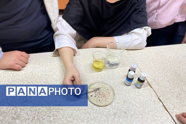 گامی در مسیر کشف حقیقت