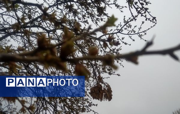 میانکوه سال ۱۴۰۴ خود را متفاوت شروع کرد