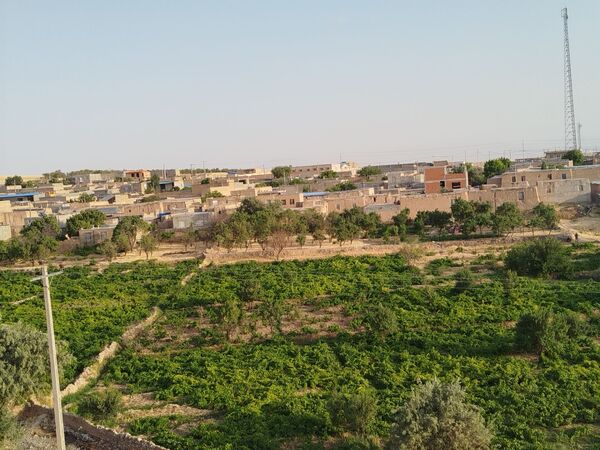 گزکوه، قطب انگور خراسان شمالی 