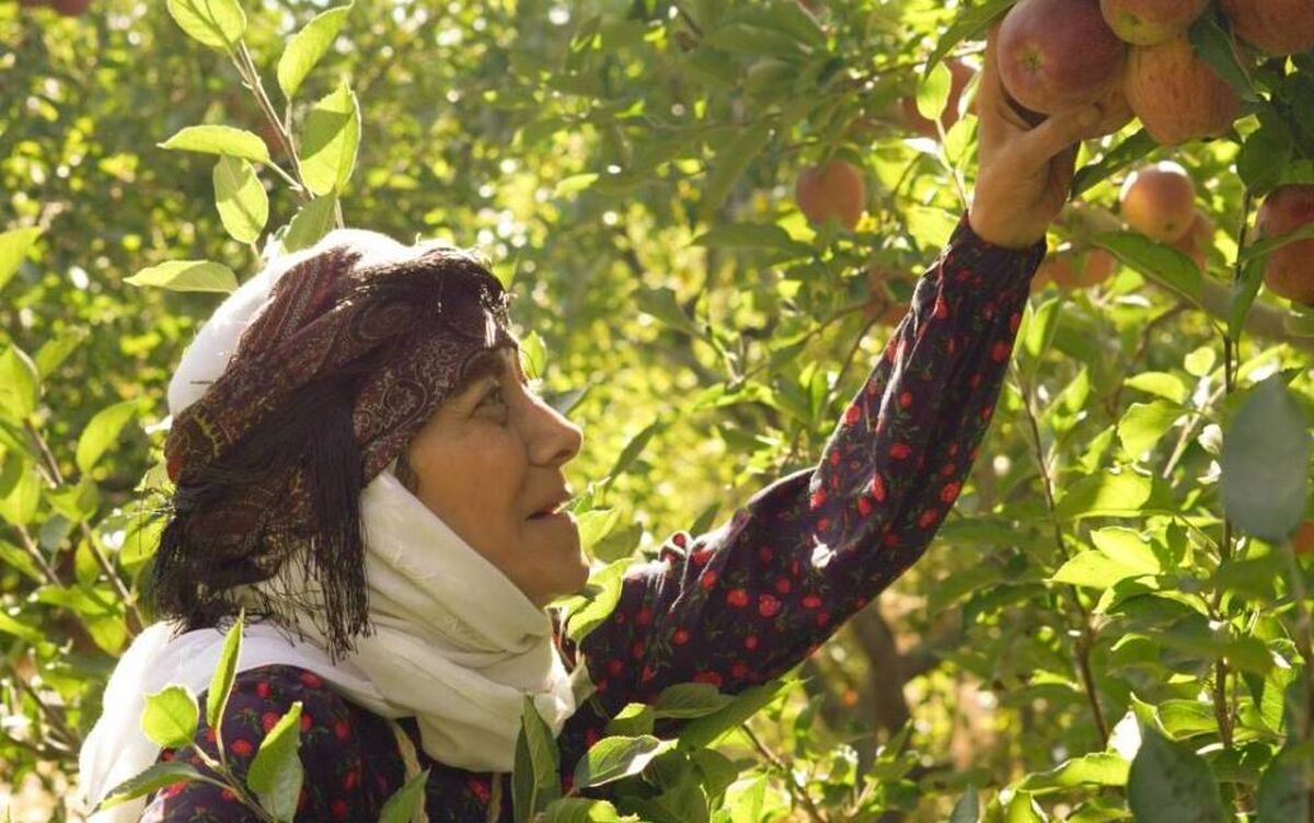 آغاز پخش سریال «مادران» از جمعه ۱۱ اردیبهشت در شبکه یک سیما