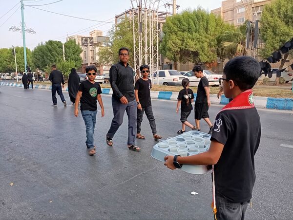 جاماندگان اربعین سفر به کربلا با دل و جان 