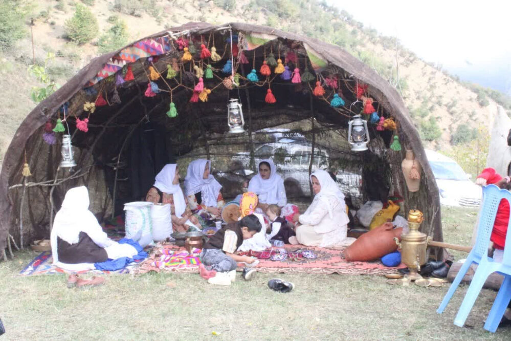 جشن شکر گزاری برداشت گردو 