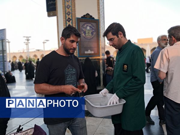 کبوتر حرم مشهد مقدس