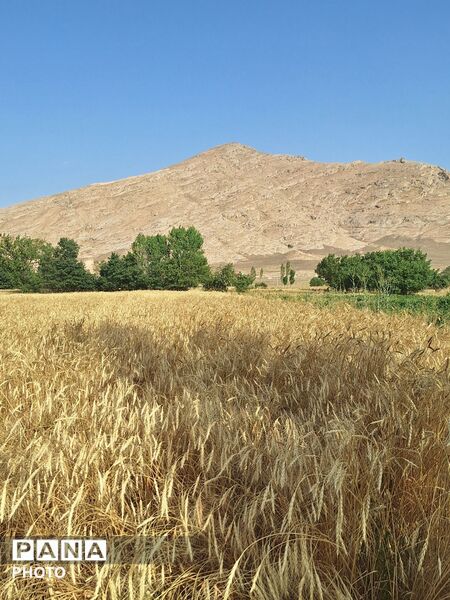 وقتی طبیعت، حرف می‌زند