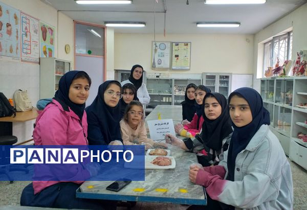 برگزاری کلاس آناتومی و تشریح مغز در پژوهش‌سرای بوعلی سینا ملارد