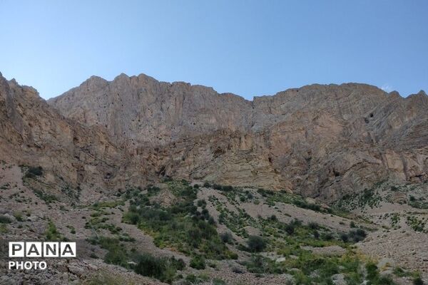 کوه های شهر بار ذخیره‌گاه گیاهان ارزشمند و کم نظیر دارویی 