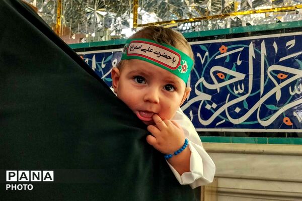 گهواره‌های سبز در سوگ کربلا؛ همایش شیرخوارگان حسینی در بجنورد
/1