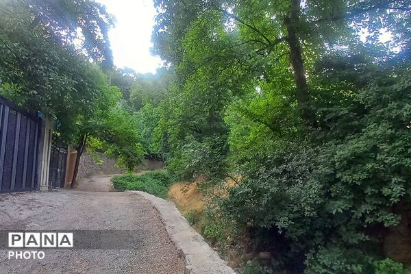 قاب‌هایی از آرامش در روستای ولیان
