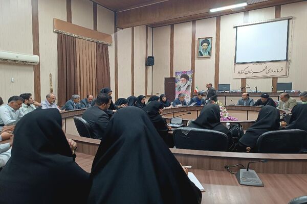 نشست بررسی چالش‌های آسیب‌های اجتماعی در گناباد