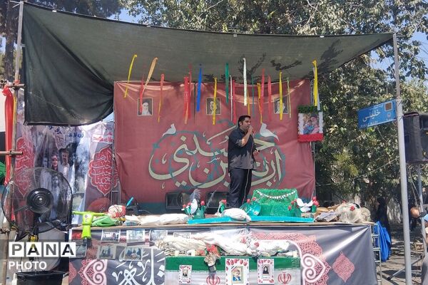 جاماندگان اربعین حسینی در مسیر قبله تهران