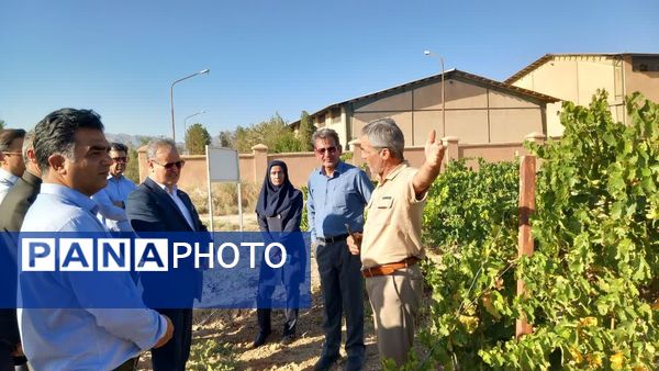 سفر معاون وزیر جهاد کشاورزی به کاشمر