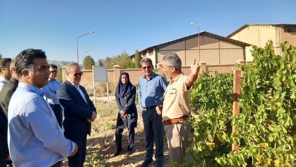 سفر معاون وزیر جهاد کشاورزی به کاشمر