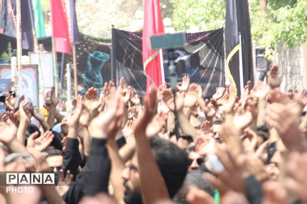 عزاداری ظهر عاشوراحسینی در ده بالا یزد